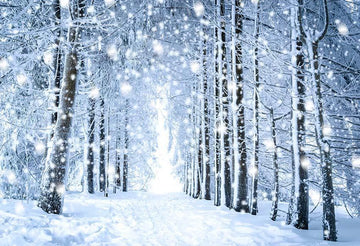 Beautiful White Forest Snow Scene Forest Christmas Backdrops IBD-24177 - iBACKDROP-chr, chri, chris, christ, christm, Christmas Backdrops, Christmas Background, christmas tree, forest, New Arrivals, photography backdrops, white